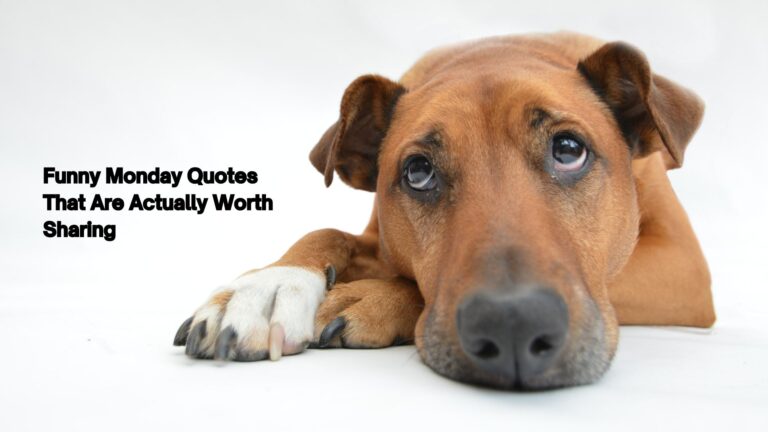 funny monday quotes