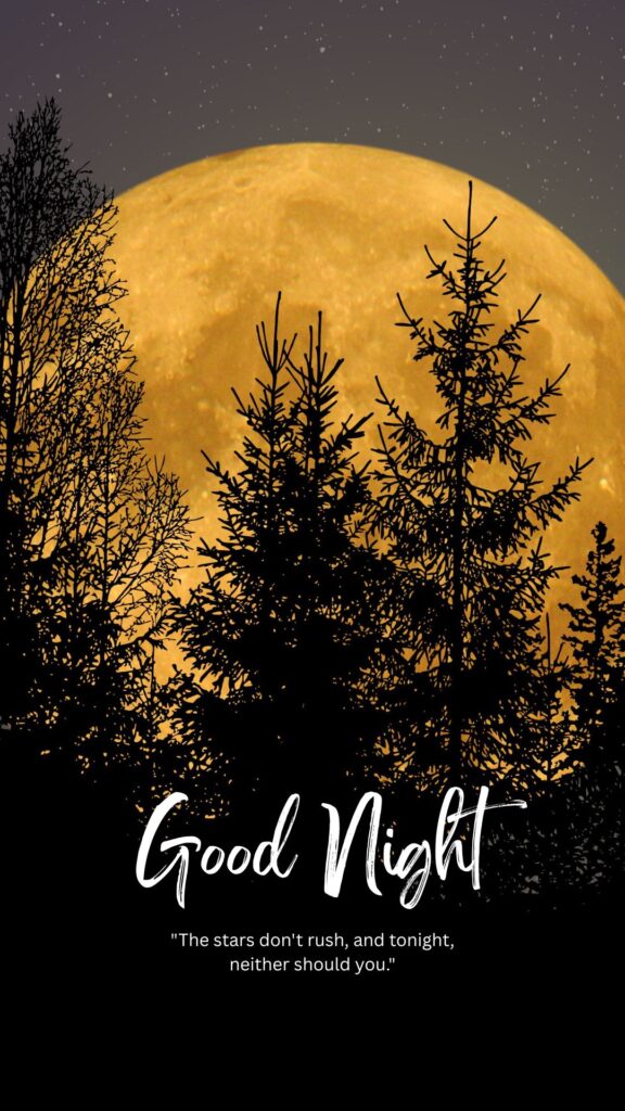 Beautiful Good Night Quotes